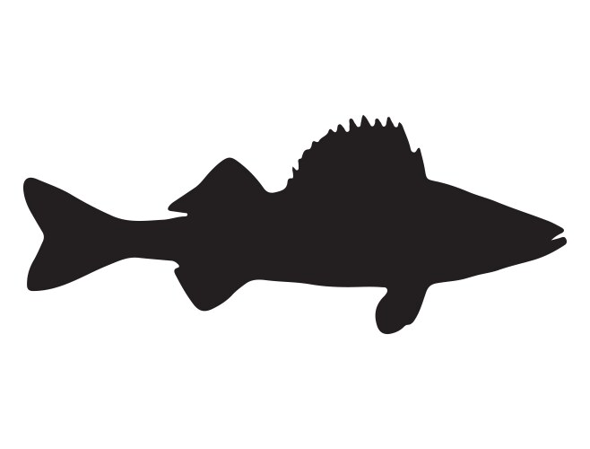 walleye fish silhouette art vector