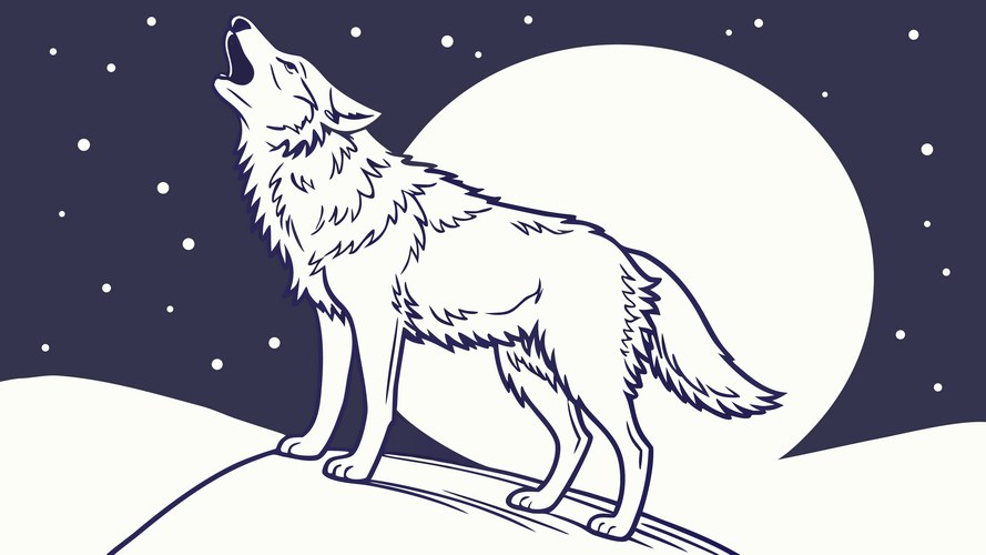 Lone Wolf Howl - Crescent Moon Vector Image