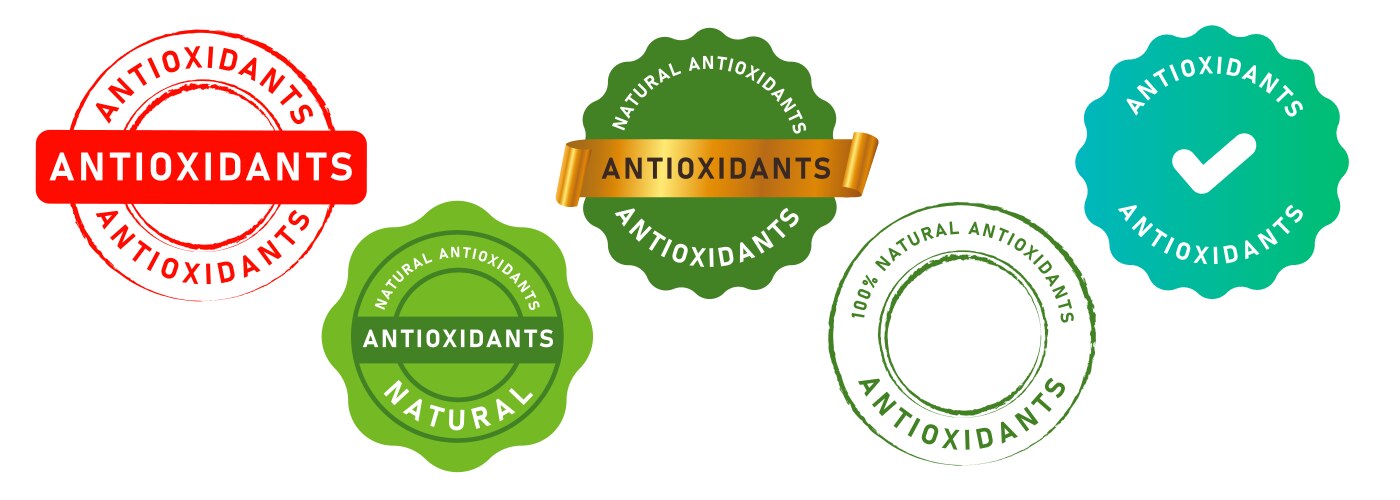 Antioxidants circle stamp seal emblem label vector image