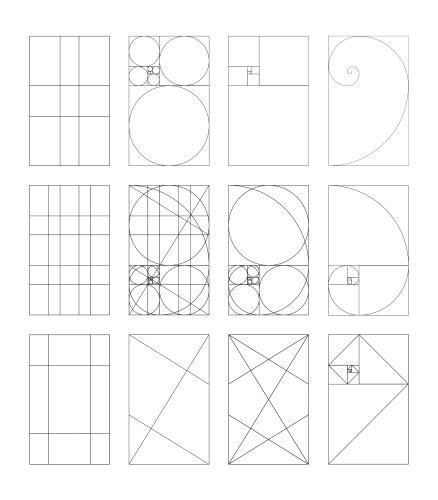 Method golden section fibonacci array numbers vector image