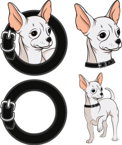 Chihuahua Portrait Set Vector Image