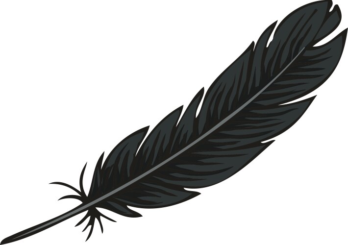 Black Bird Feather - Ritual Symbol – Royalty-Free Vector | VectorStock