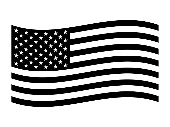 American Flag - Stars and Stripes Vector Image