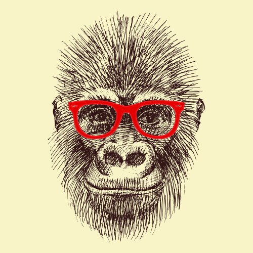 Monkey skater hipster Royalty Free Vector Image