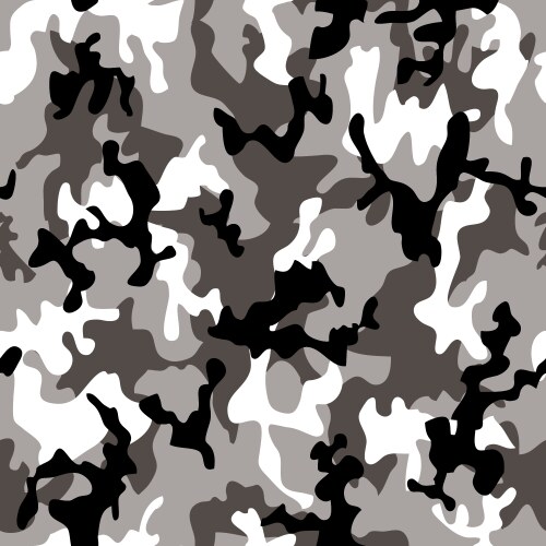 Camouflage seamless pattern Royalty Free Vector Image