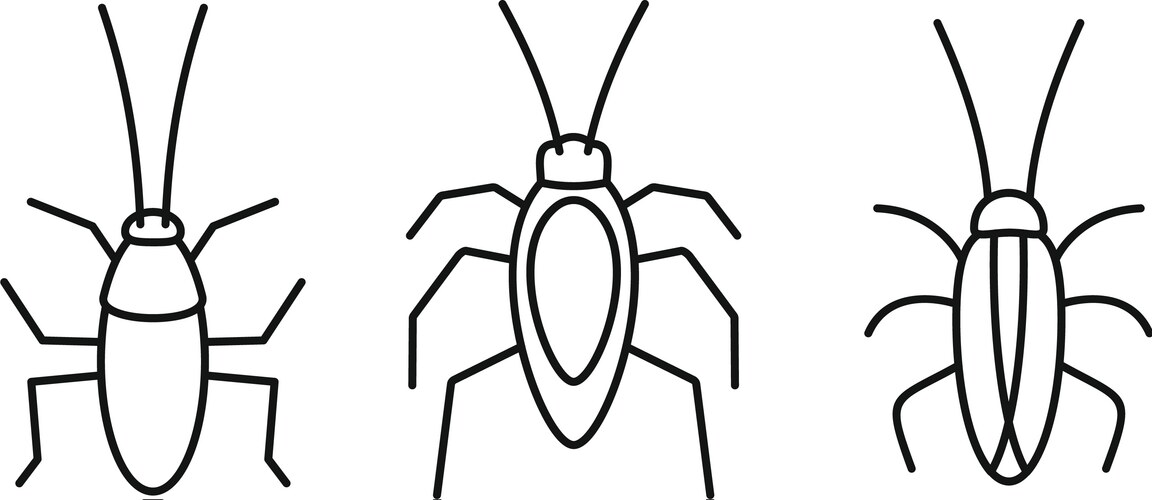 Cockroach bug icons set outline style vector image