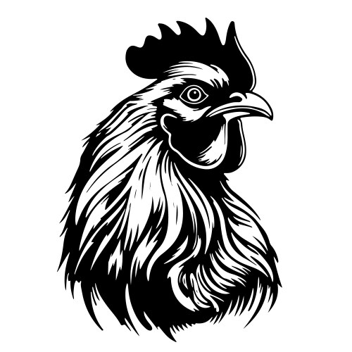 Chicken Head Hand Drawn Vector Images (over 340)