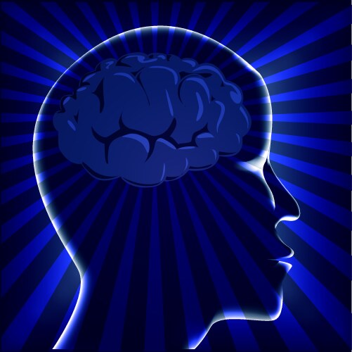 Brain Royalty Free Vector Image - VectorStock