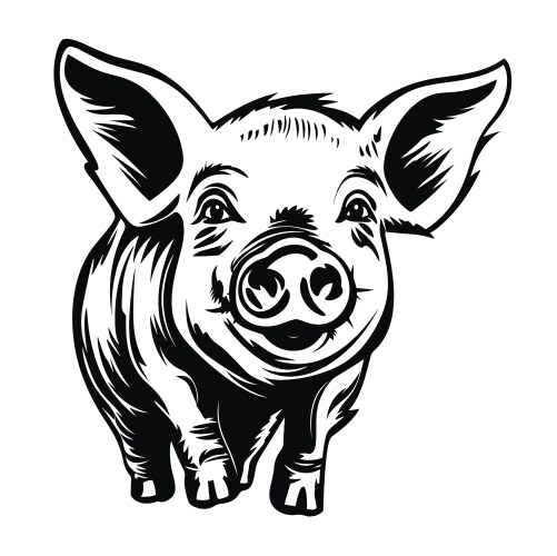 Portrait of a cute domestic pig simple Vector Image