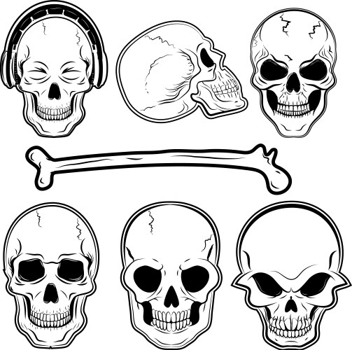 Human Skulls Collection Vector Image