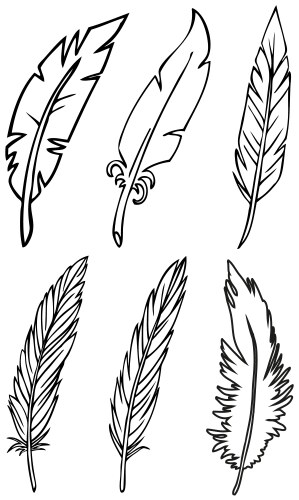 Peacock feather set Royalty Free Vector Image - VectorStock