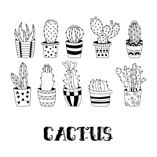 Adorable Cacti in Flower Pots Vector Image