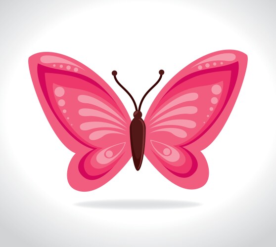 Cute pink butterfly design Royalty Free Vector Image