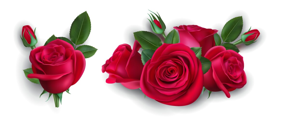 Rose flower 3d realistic icon Royalty Free Vector Image