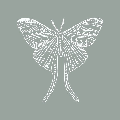 Moon Moth Fantasy Art Vector Image