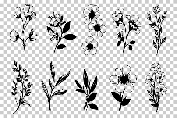Vintage Botanical Floral Bundle Vector Image