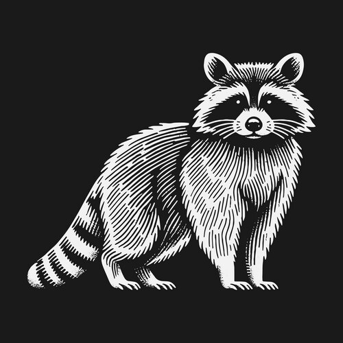 Black & White Raccoon Linocut Vector Image