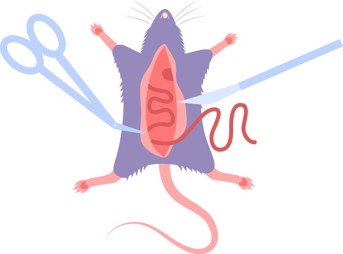 Animal Testing Vector Images (over 16,000)