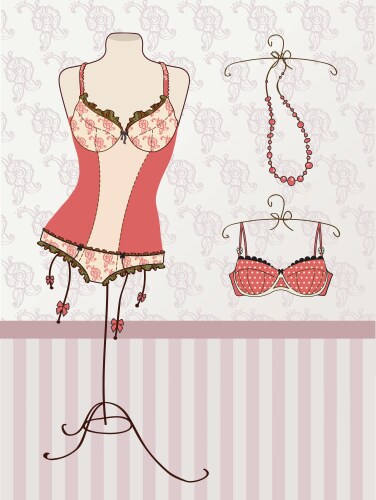 vintage corset and bra vector image