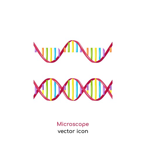 Infographic dna and rna spiral ribonucleic vs Vector Image