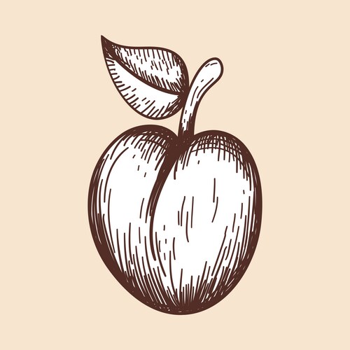 icon plum vector