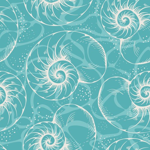 Shell set Royalty Free Vector Image - VectorStock