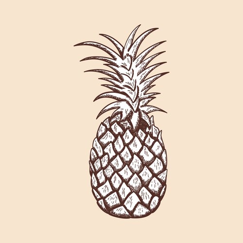 Pineapple with leaf logo icon heart shape design Vector Image