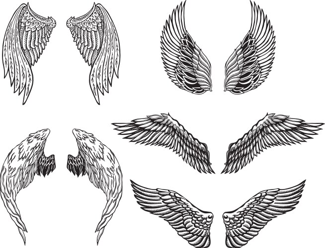 Heraldic wings set Royalty Free Vector Image - VectorStock