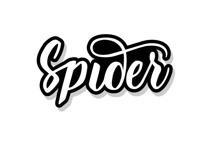 Spider calligraphy template text for your design Vector Image