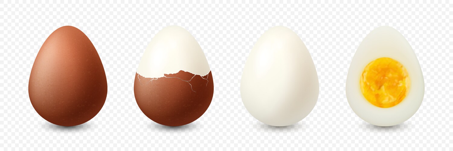 3d realistic brown chicken eggs textured vector image