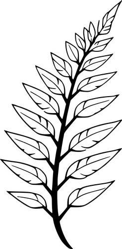 Detailed Fern Artwork Vector Image