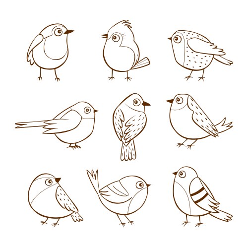 hand drawn cute little birds vector image