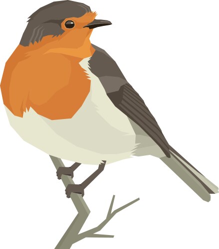 14 birds isolated objects Royalty Free Vector Image