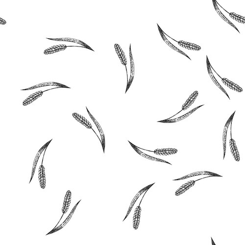 Millets Vector Images & Graphics for Commercial Use | VectorStock