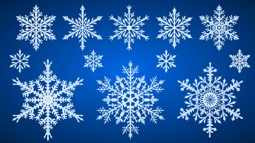 Snowflake set Royalty Free Vector Image - VectorStock