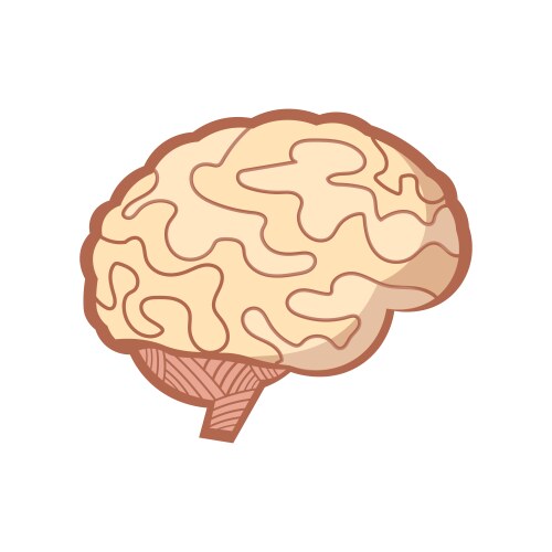 Brain exploring icon simple isolated Royalty Free Vector