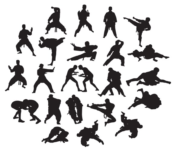 Martial Arts Silhouettes Vector Image