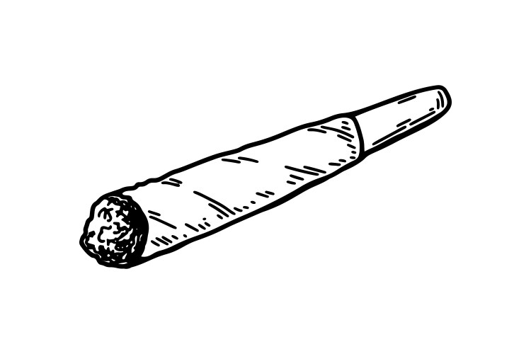 Cannabis joint hand drawn in sketch style Vector Image