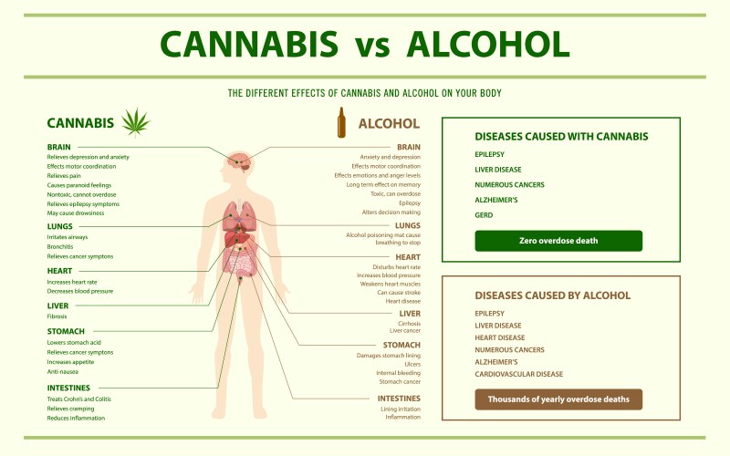 Alcohol Infographic Vector Images (over 10,000)