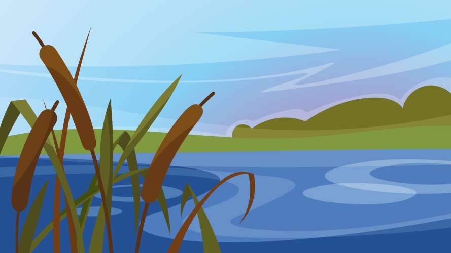 Pond with reeds and lilies Royalty Free Vector Image