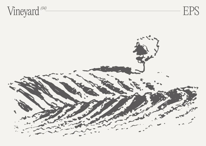 Rustic Vineyard Sketch Vector Image