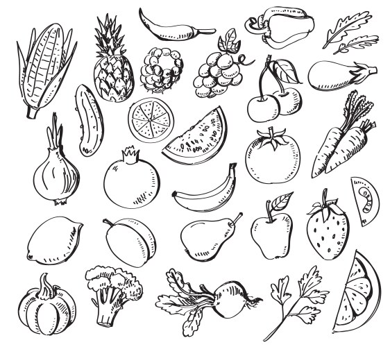 hand drawn fruits and vegetables vector