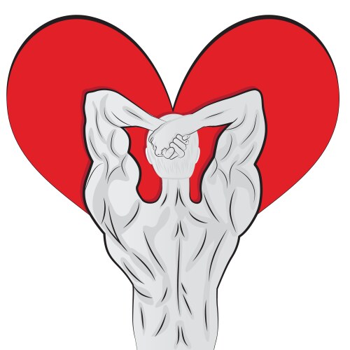 man body shaped as heart for valentine day vector image