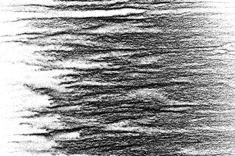 black grainy wave texture vector image