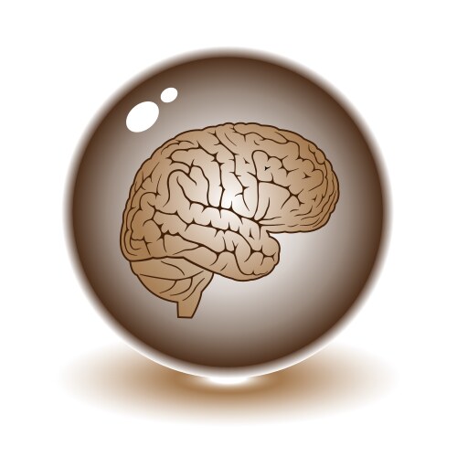 Brain in hands icon Royalty Free Vector Image - VectorStock