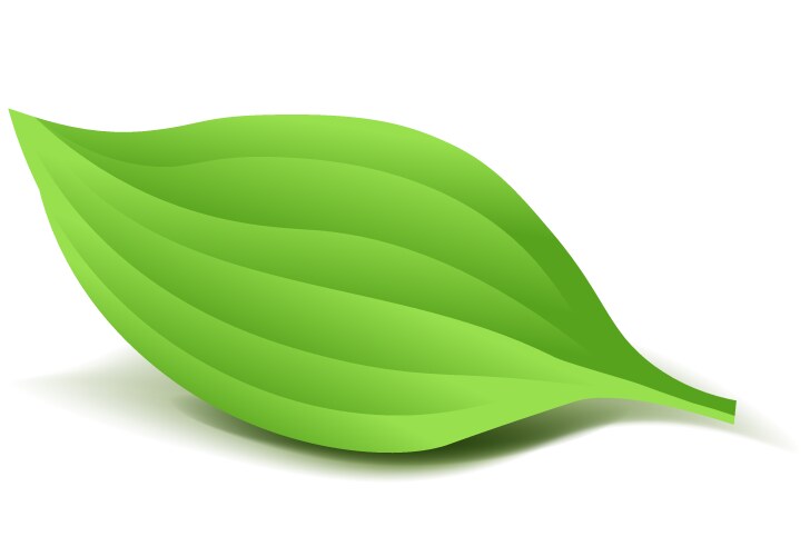 Green Leaf Royalty Free Vector Image Vectorstock Green Leaf Royalty Free Vector Image Vectorstock