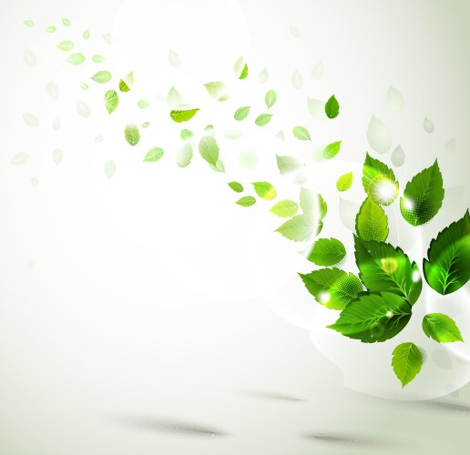 Branch with fresh green leaves Royalty Free Vector Image