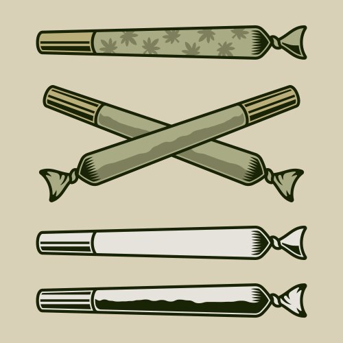 Marijuana rolled joints or cigarette with drug Vector Image