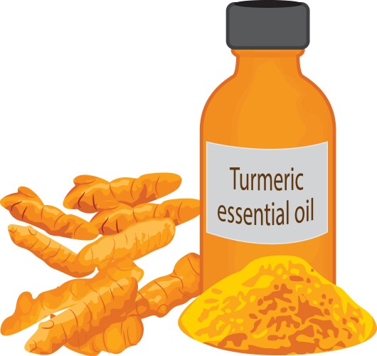 Turmeric Vector Images & Graphics for Commercial Use | VectorStock