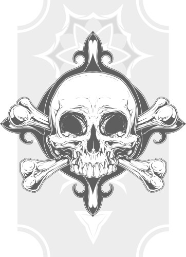 Grey Skull with Bone Ornament Vector Image